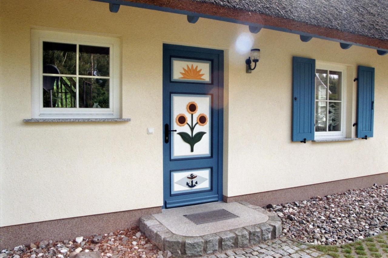 Ferienhaus Mine Sehnsucht Dierhagen Exteriér fotografie